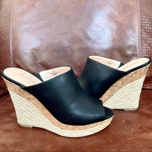 Charles David Platform Wedge Sandals Size 8.5
